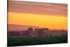 Golden Hour, Petaluma Hills, Farm Scene, Sonoma County-Vincent James-Stretched Canvas