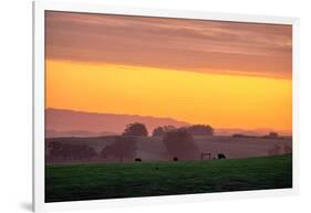 Golden Hour, Petaluma Hills, Farm Scene, Sonoma County-Vincent James-Framed Photographic Print