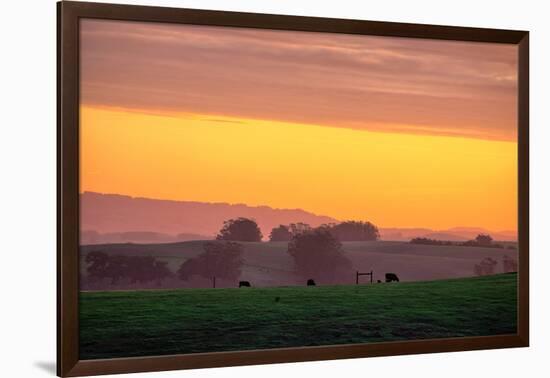 Golden Hour, Petaluma Hills, Farm Scene, Sonoma County-Vincent James-Framed Photographic Print