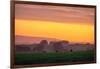 Golden Hour, Petaluma Hills, Farm Scene, Sonoma County-Vincent James-Framed Photographic Print