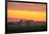 Golden Hour, Petaluma Hills, Farm Scene, Sonoma County-Vincent James-Framed Photographic Print