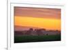 Golden Hour, Petaluma Hills, Farm Scene, Sonoma County-Vincent James-Framed Photographic Print