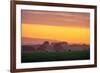 Golden Hour, Petaluma Hills, Farm Scene, Sonoma County-Vincent James-Framed Photographic Print