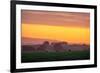 Golden Hour, Petaluma Hills, Farm Scene, Sonoma County-Vincent James-Framed Photographic Print