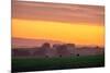 Golden Hour, Petaluma Hills, Farm Scene, Sonoma County-Vincent James-Mounted Photographic Print