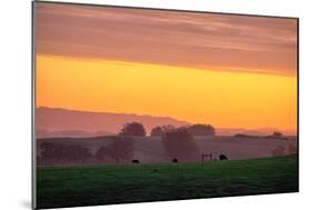 Golden Hour, Petaluma Hills, Farm Scene, Sonoma County-Vincent James-Mounted Photographic Print