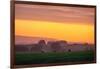 Golden Hour Petaluma Hills, Northern California Bay Area Marin-Vincent James-Framed Photographic Print