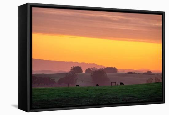 Golden Hour Petaluma Hills, Northern California Bay Area Marin-Vincent James-Framed Stretched Canvas