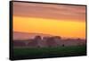 Golden Hour Petaluma Hills, Northern California Bay Area Marin-Vincent James-Framed Stretched Canvas