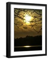 Golden Hour-Christy Ann-Framed Giclee Print