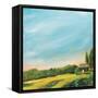 Golden Hour-Sue Schlabach-Framed Stretched Canvas