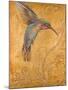 Golden Hummingbird I-Patricia Pinto-Mounted Art Print