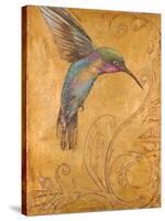 Golden Hummingbird I-Patricia Pinto-Stretched Canvas
