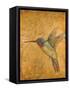 Golden Hummingbird II-Patricia Pinto-Framed Stretched Canvas