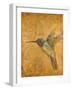 Golden Hummingbird II-Patricia Pinto-Framed Art Print