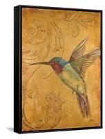 Golden Hummingbird II-Patricia Pinto-Framed Stretched Canvas