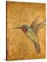 Golden Hummingbird II-Patricia Pinto-Stretched Canvas