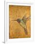 Golden Hummingbird II-Patricia Pinto-Framed Art Print