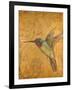 Golden Hummingbird II-Patricia Pinto-Framed Art Print