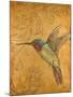 Golden Hummingbird II-Patricia Pinto-Mounted Art Print