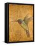 Golden Hummingbird II-Patricia Pinto-Framed Stretched Canvas