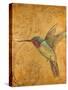 Golden Hummingbird II-Patricia Pinto-Stretched Canvas