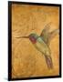 Golden Hummingbird II-Patricia Pinto-Framed Art Print