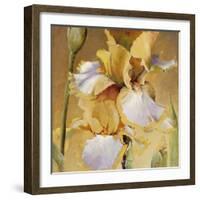 Golden Iris II-Carney-Framed Giclee Print