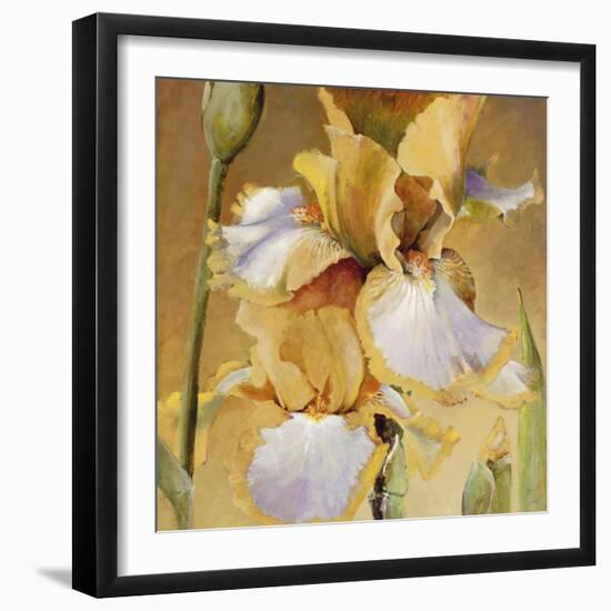 Golden Iris II-Carney-Framed Giclee Print