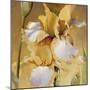 Golden Iris II-Carney-Mounted Giclee Print