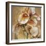 Golden Iris-Carney-Framed Giclee Print