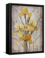 Golden Irises I-Tim O'toole-Framed Stretched Canvas