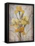 Golden Irises I-Tim O'toole-Framed Stretched Canvas