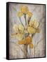 Golden Irises I-Tim O'toole-Framed Stretched Canvas