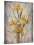 Golden Irises I-Tim O'toole-Stretched Canvas