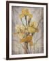 Golden Irises I-Tim O'toole-Framed Art Print