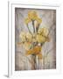 Golden Irises I-Tim O'toole-Framed Art Print