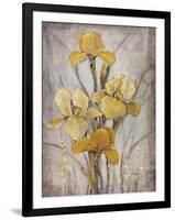 Golden Irises I-Tim O'toole-Framed Art Print