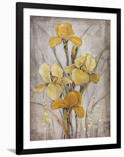 Golden Irises I-Tim O'toole-Framed Art Print