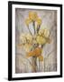 Golden Irises I-Tim O'toole-Framed Art Print