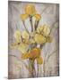Golden Irises I-Tim O'toole-Mounted Art Print