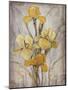 Golden Irises I-Tim O'toole-Mounted Art Print