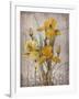 Golden Irises II-Tim O'toole-Framed Art Print