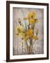 Golden Irises II-Tim O'toole-Framed Art Print