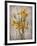 Golden Irises II-Tim O'toole-Framed Art Print