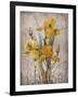 Golden Irises II-Tim O'toole-Framed Art Print