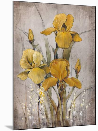 Golden Irises II-Tim O'toole-Mounted Art Print