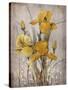 Golden Irises II-Tim O'toole-Stretched Canvas