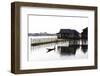 Golden Island Cottages, Tourist Accommodation on Inle Lake, Nampan Village, Myanmar (Burma)-Lee Frost-Framed Photographic Print