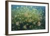 Golden Jellyfish Swim Inside a Lake in the Republic of Palau-Stocktrek Images-Framed Photographic Print